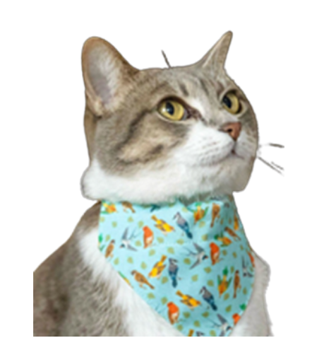 CAT AND DOG BANDANA SCRAF (CAT)