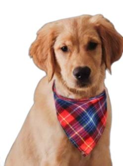 CAT AND DOG BANDANA SCRAF (DOG)