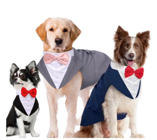 DOG WEDDING | PARTY DRESS 