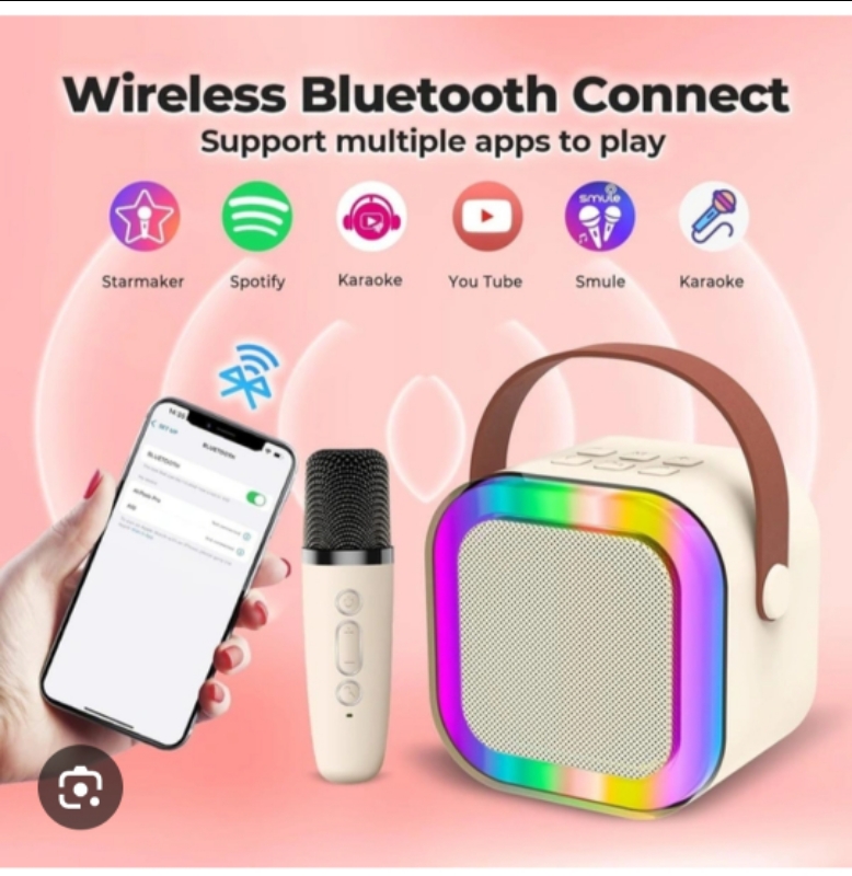 K12 Speaker With Mic