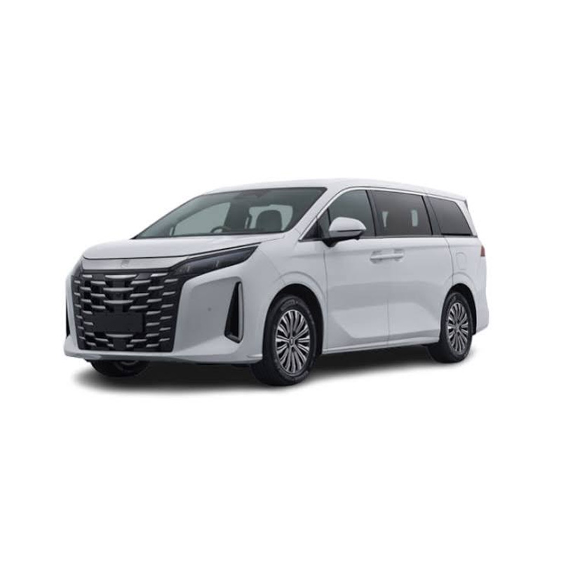 صورة بي واي دي شيا MPV / إم 9 2026