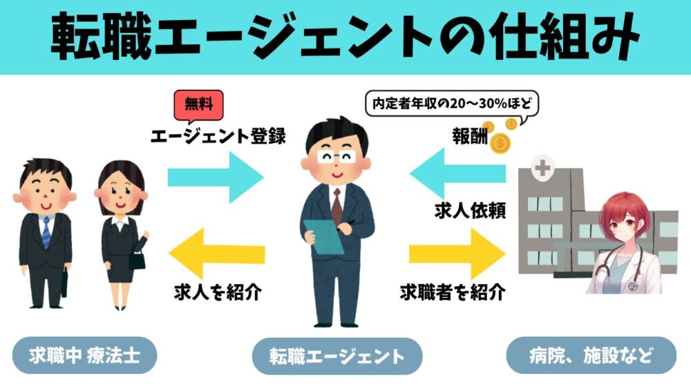 PTOT人材バンクなどの転職エージェントの仕組みを説明する図。療法士がエージェントに無料登録→求人を紹介される。エージェントは病院や施設から求人依頼を受け、採用が決まると紹介料(年収の20〜30%程度)を企業から受け取るビジネスモデルを示している。