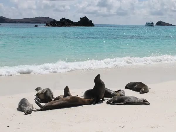 Isla Espanola