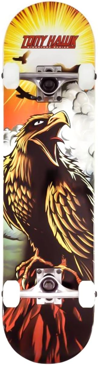 Tony hawk ss complete