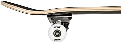 Vue 4 de Skateboard Complet Débutant Tony