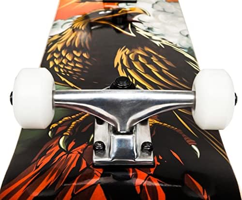 Vue 5 de Skateboard Complet Débutant Tony