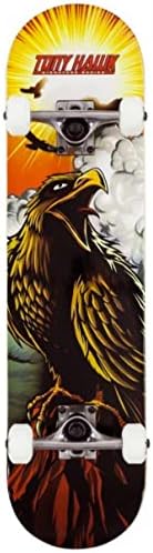 Vue 6 de Skateboard Complet Débutant Tony