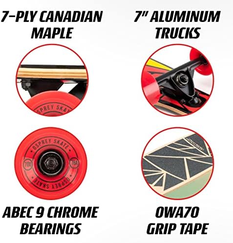 Vue 2 de Longboard Érable Débutant Multicolore