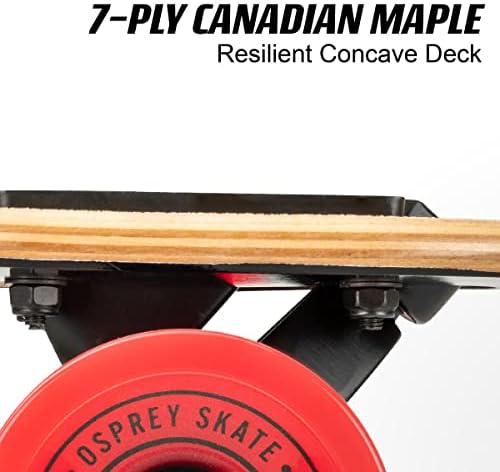 Vue 5 de Longboard Érable Débutant Multicolore