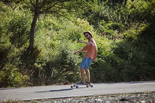 Vue 5 de Surfskate Longboard Bois Érable