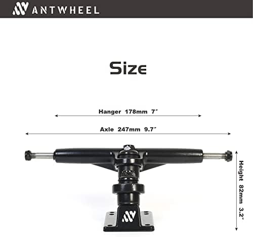 Vue 2 de Skateboard Camions Double Kingpin