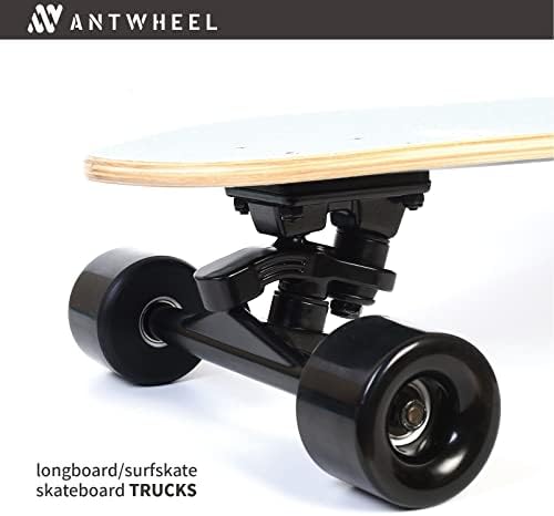 Vue 4 de Skateboard Camions Double Kingpin