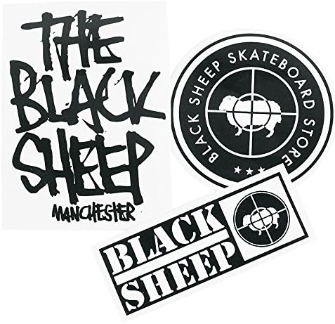 Vue 2 de Roulements Skateboard Professionnels Qualité