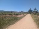 Navarrete