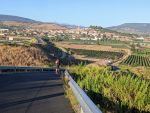 Navarette