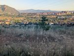 Do Ponferrade gremo zelo naokoli