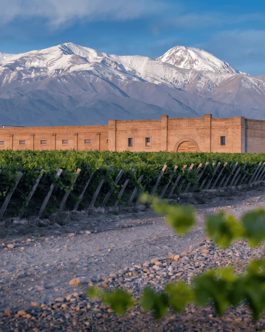 Almuerzo en Bodega de Alta Gama en Mendoza