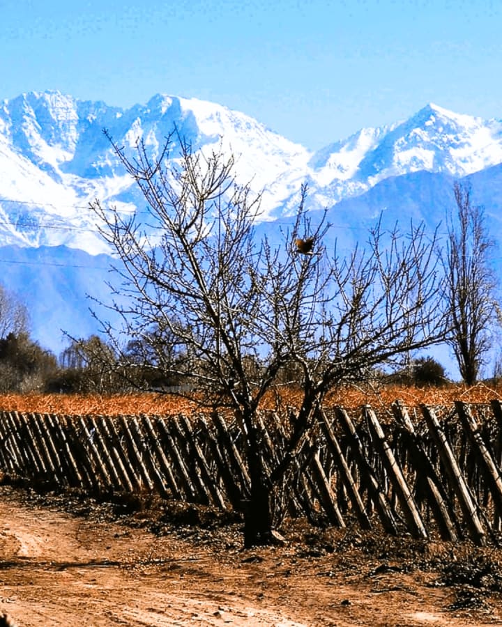 Valle de Uco en Invierno