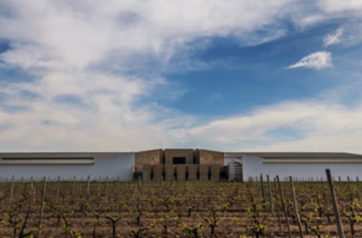Bodega con degustación en San Rafael