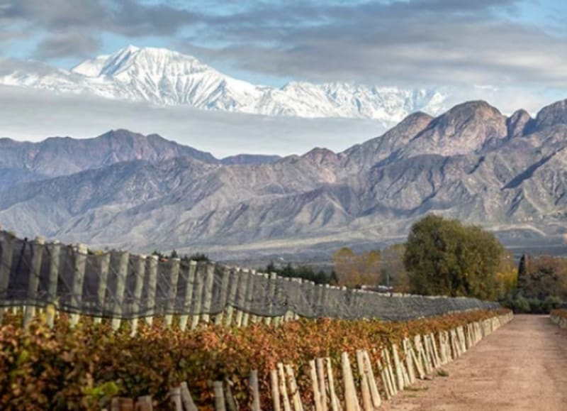 Bodegas en Mendoza Mendoza