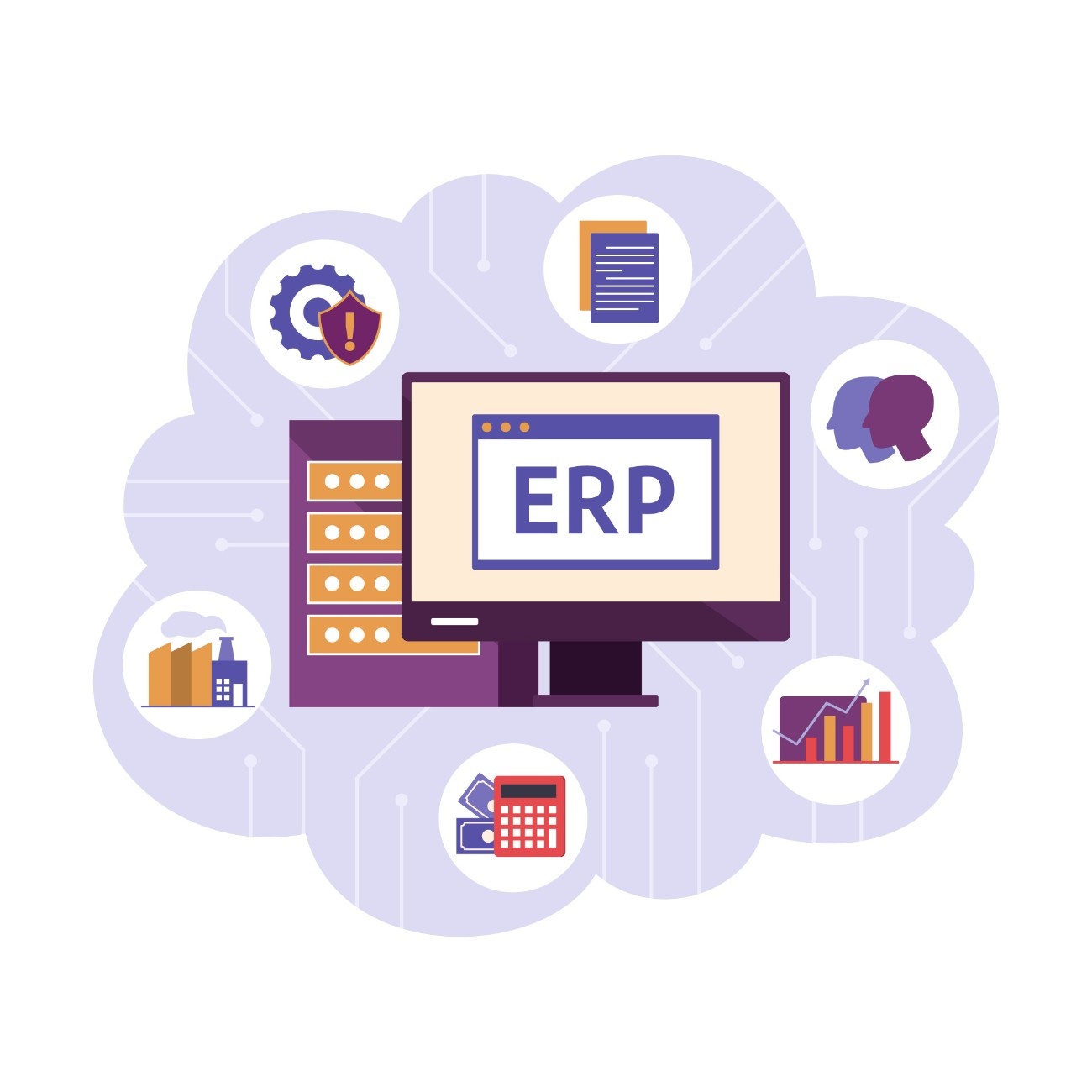 Enterprise Resource Planning (ERP) Implementation Support