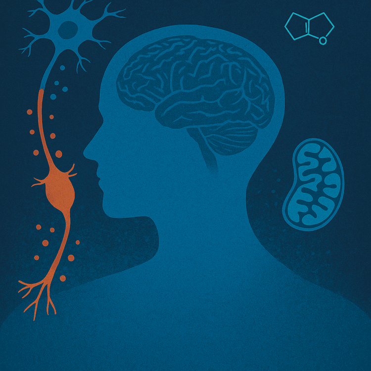 Protection des neurones dopaminergiques par DDOX via réduction du stress oxydatif induit par le fer