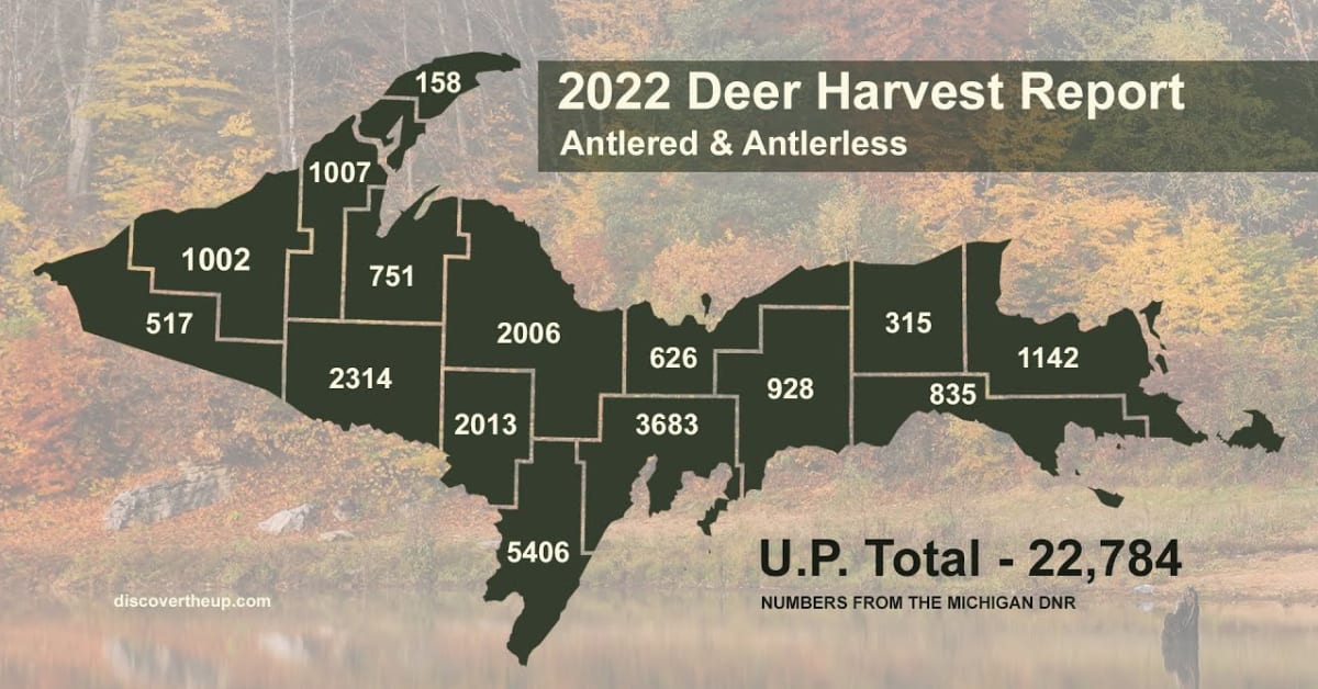 Michigan DNR 2022 Deer Harvest Report Interview with the DNR