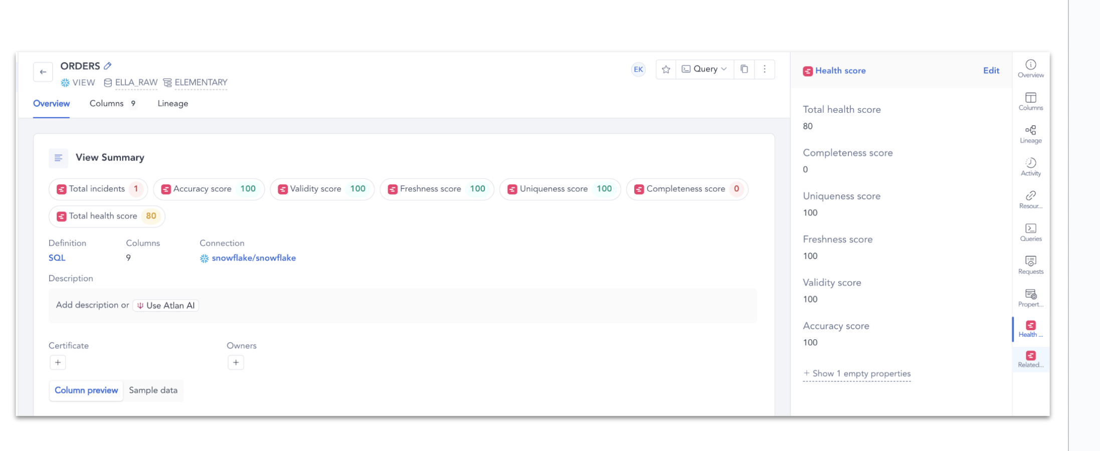 Elementary metadata in Atlan asset view