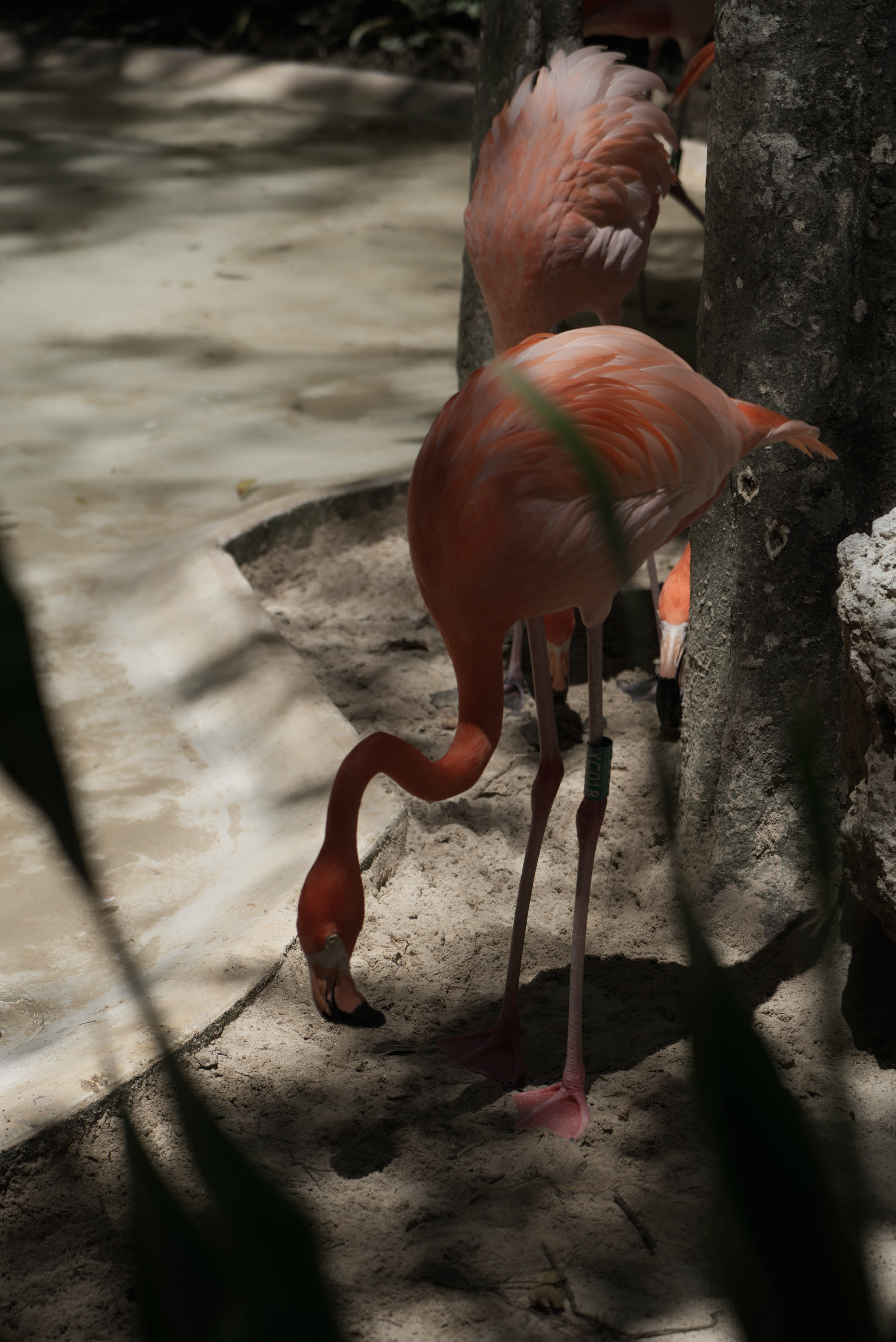 DSC05834_zdfhhn