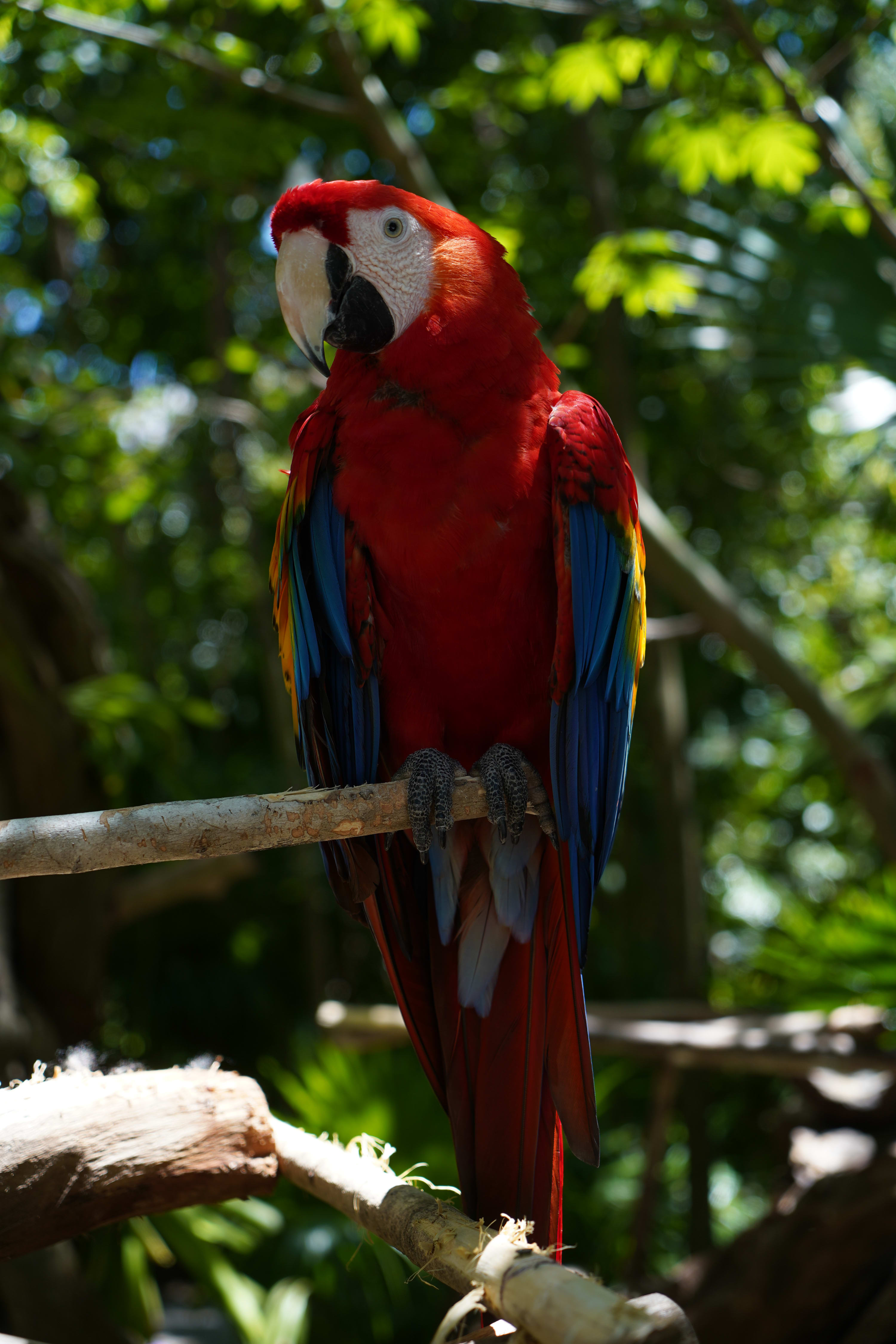 DSC05819_zhqkbe