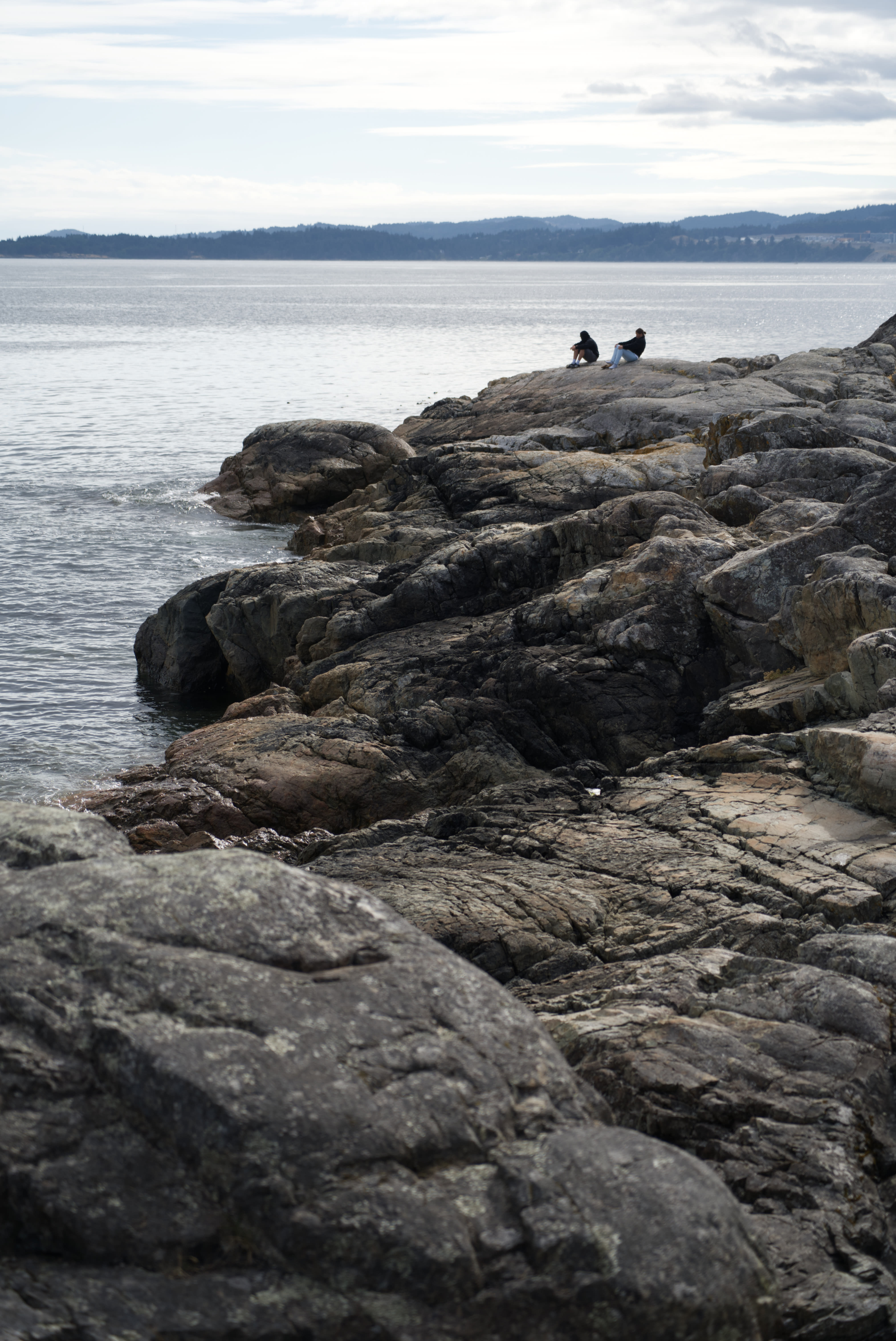 DSC09266_kvzibd