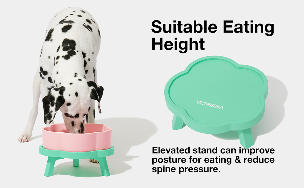 Ceramic Dog Raised Water Bowl For Dogs Puppy Essentials VETRESKA