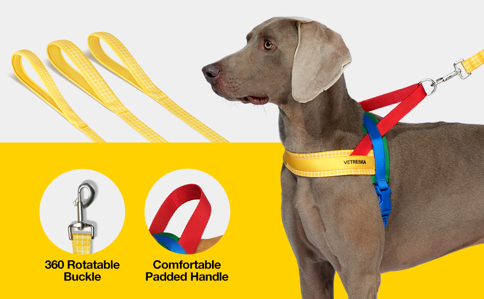 About Our Designer Dog Collars and Leashes - Puppy Panache