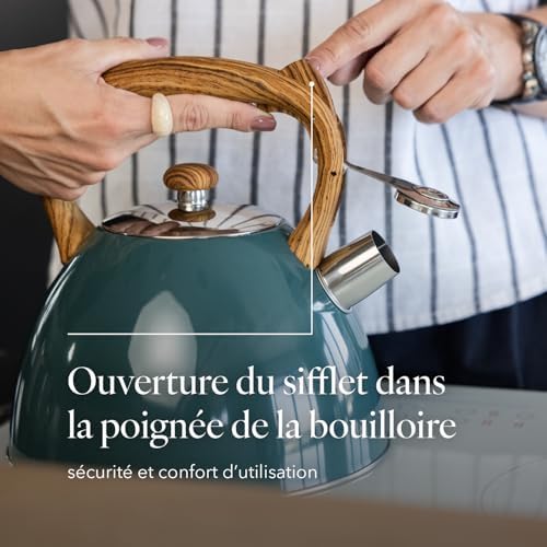 Vue 5 de Florina Bouilloire Inox