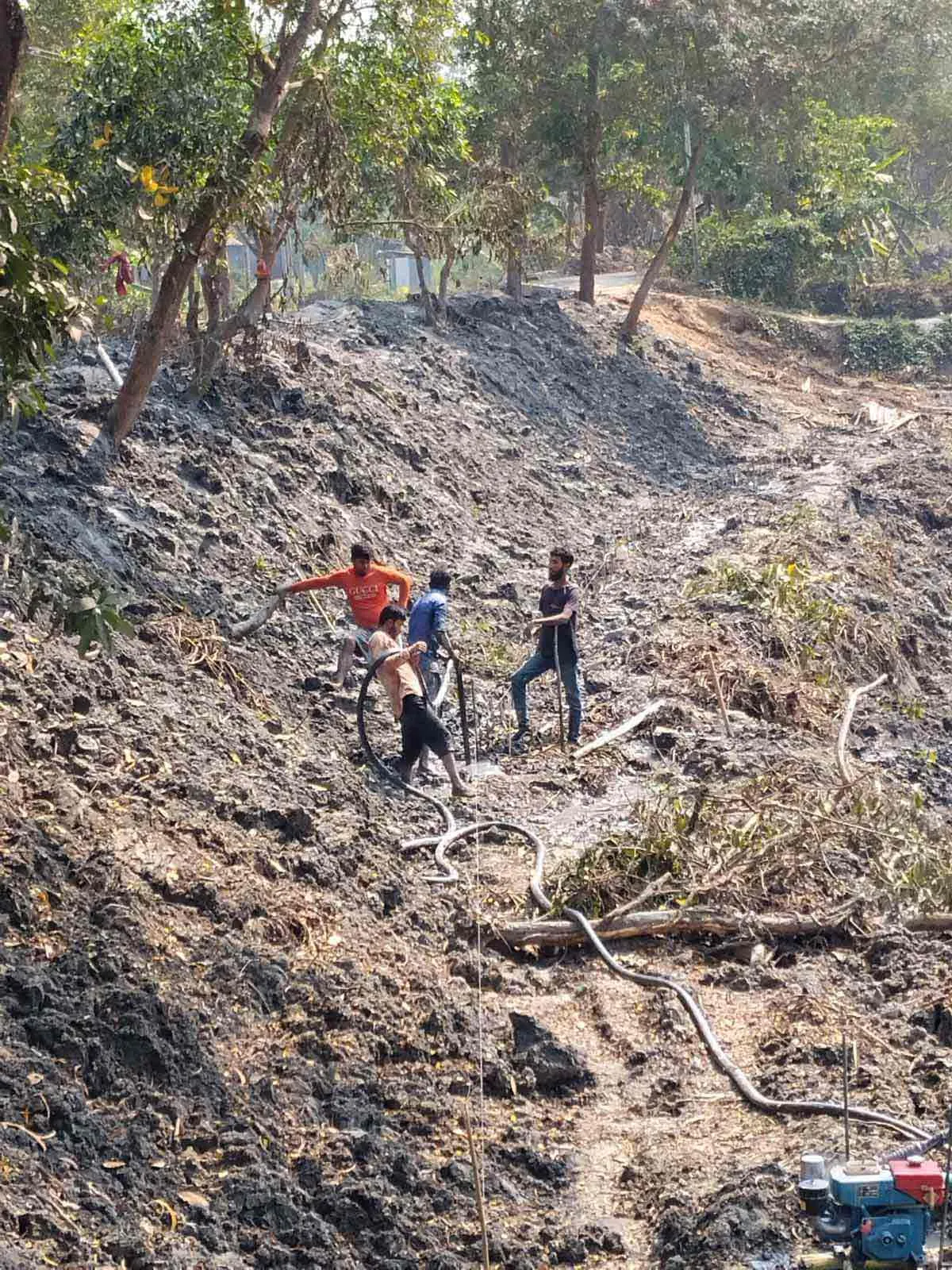 My Project Gallery 2