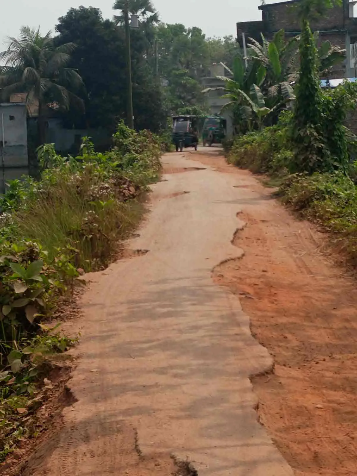 My Project Gallery 12