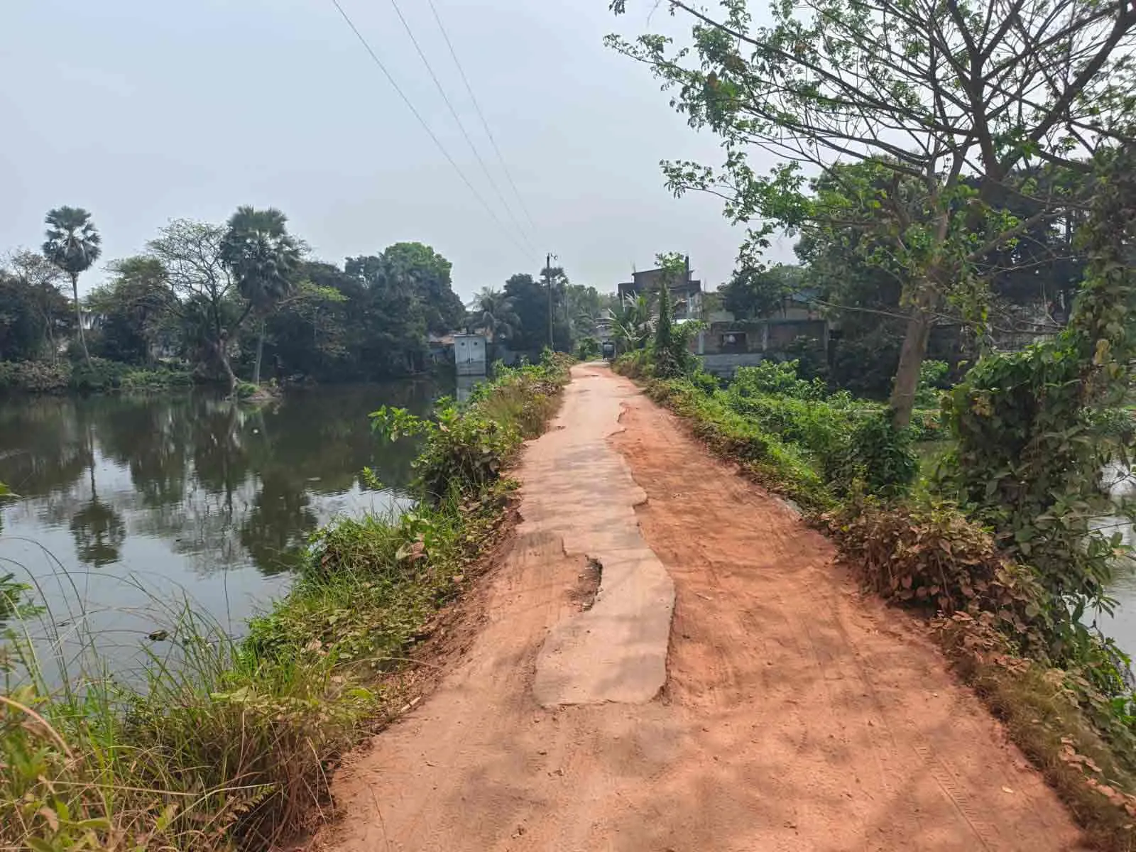 My Project Gallery 13