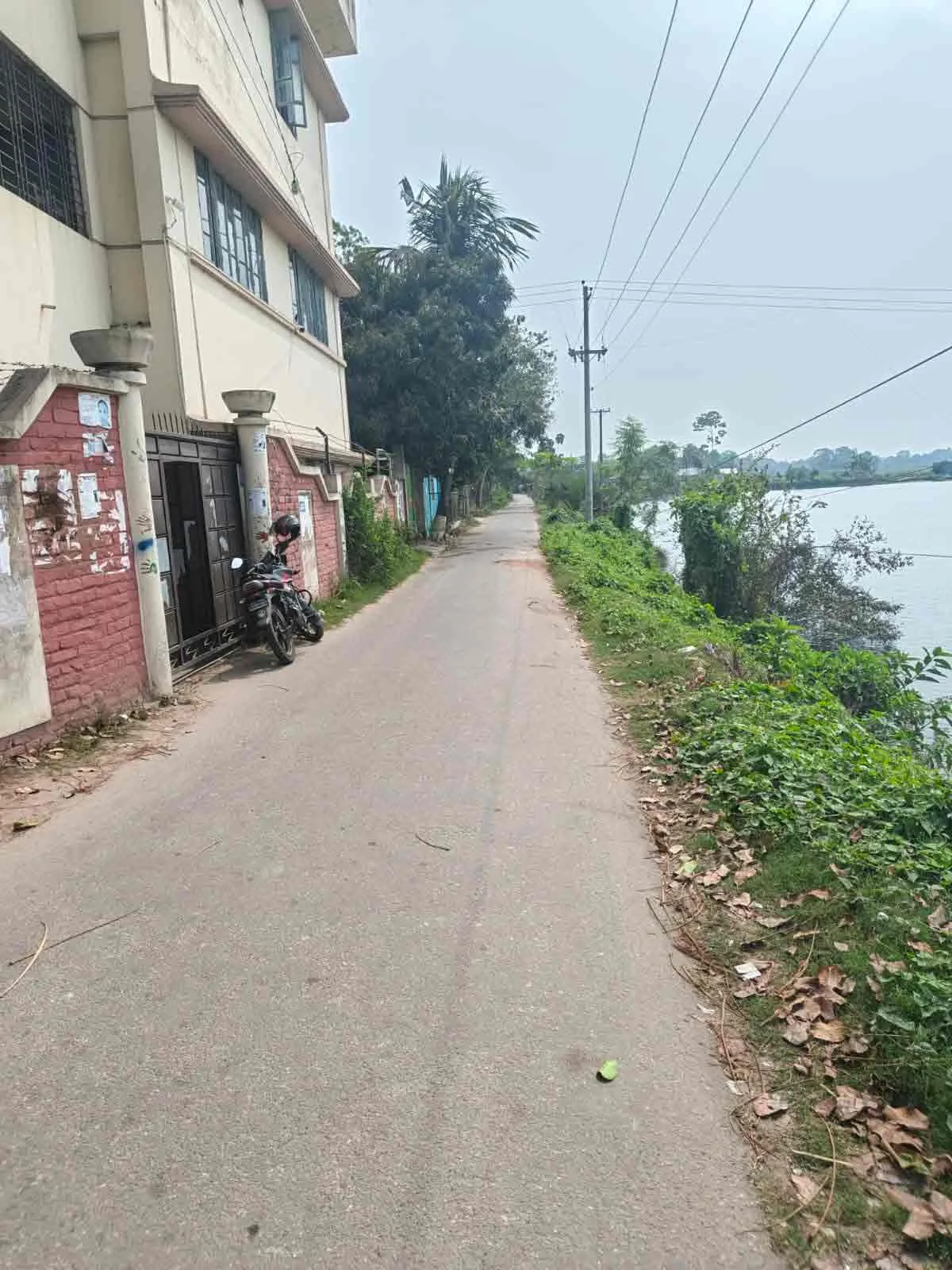 My Project Gallery 15