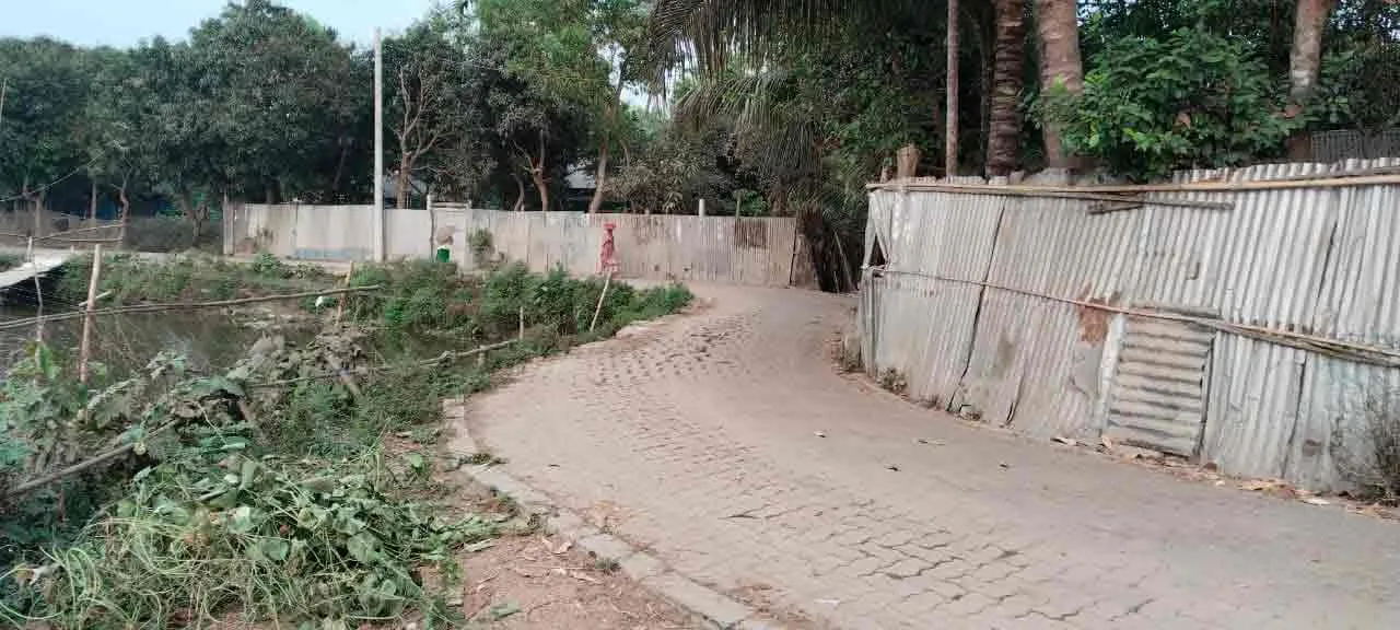 My Project Gallery 16