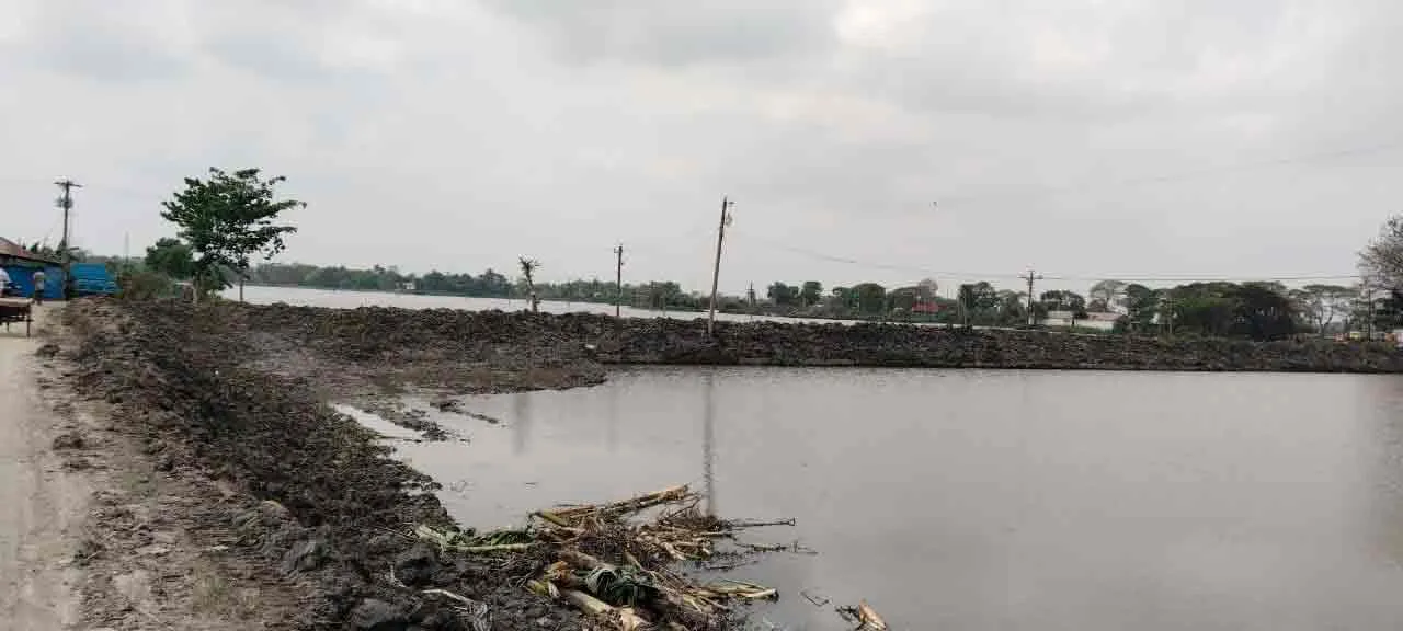 My Project Gallery 22