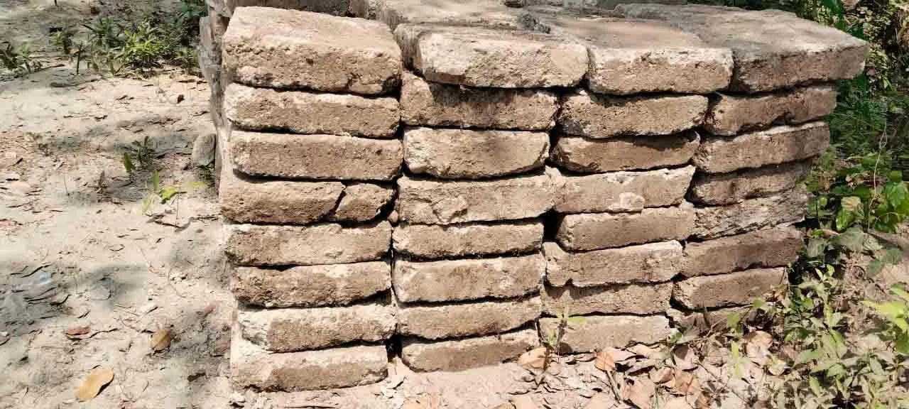 My Project Gallery 23