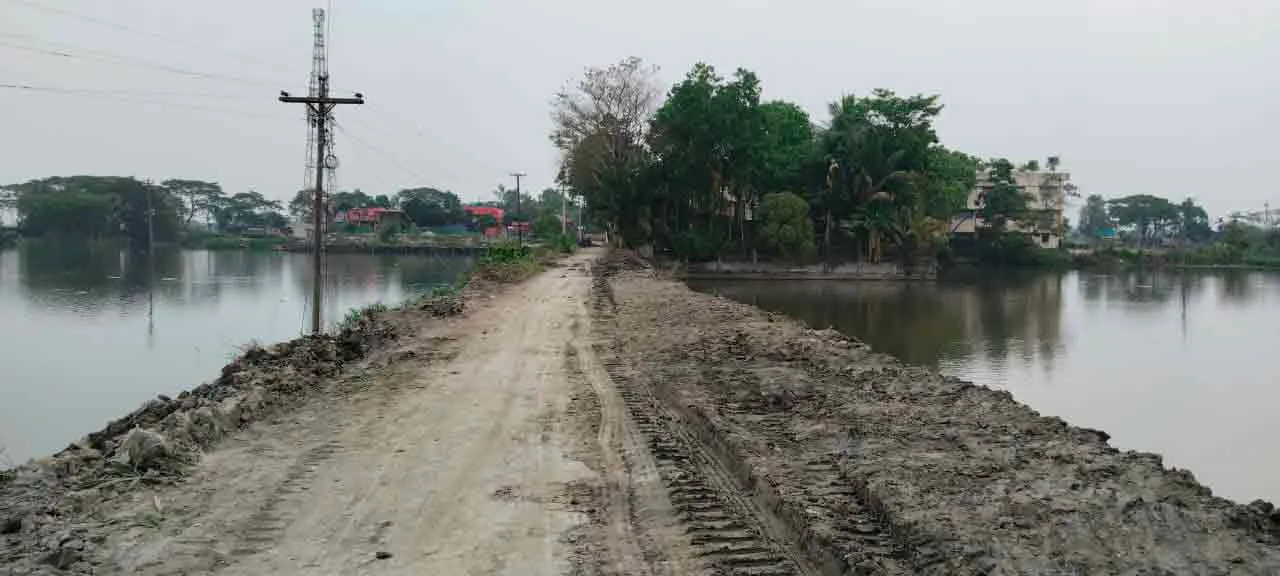 My Project Gallery 31