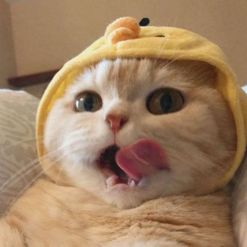 Go to the profile of  Jerry