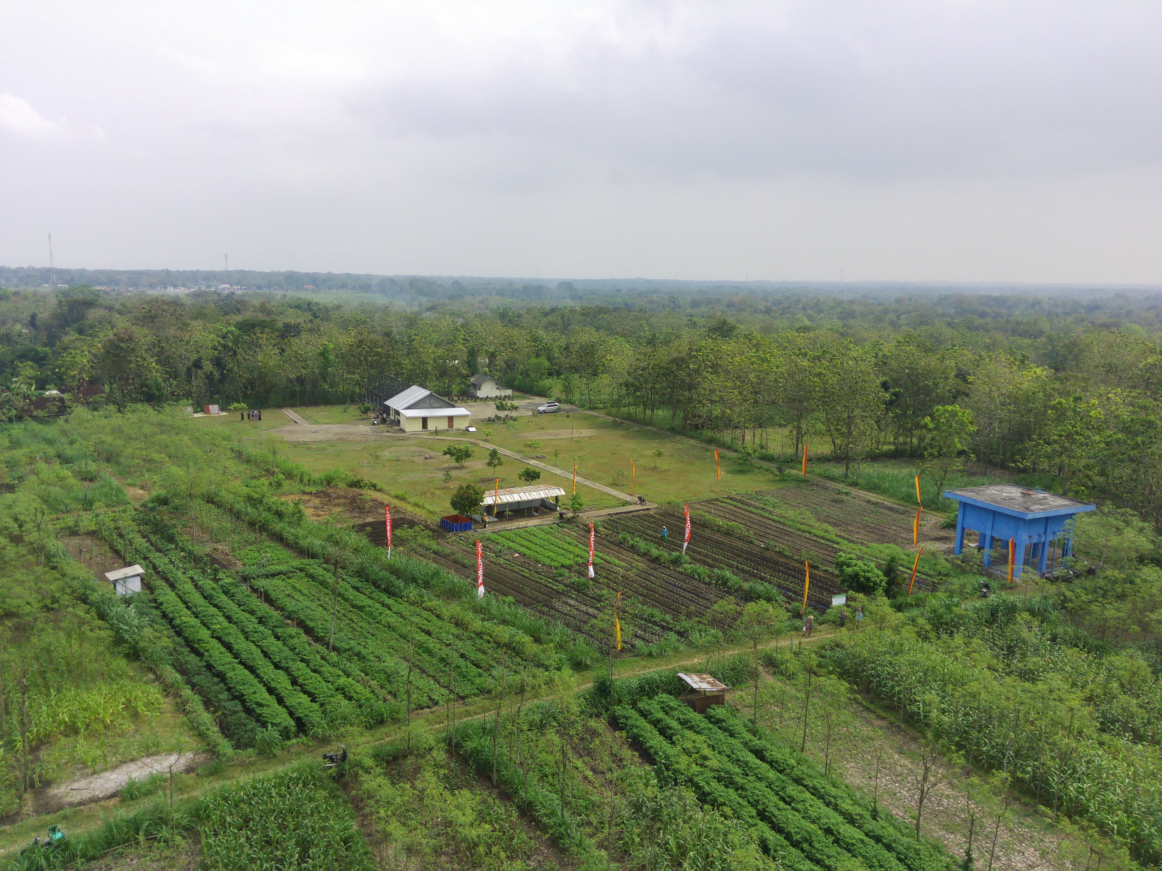 Pemandangan Alam Pampang