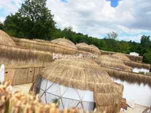 Bambu Dekorasyon