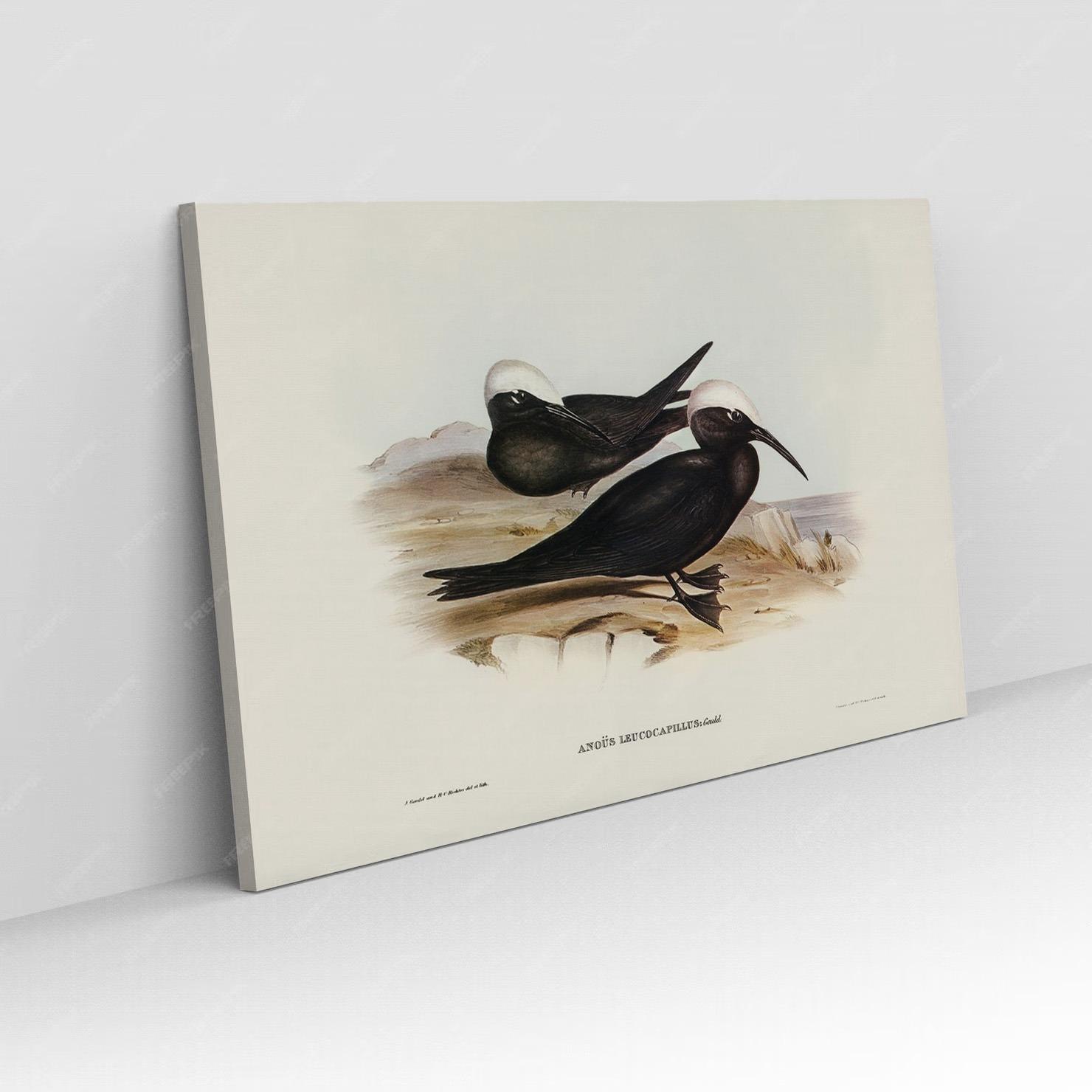 Toile Décorative Horizontale Moderne Paysage N°82