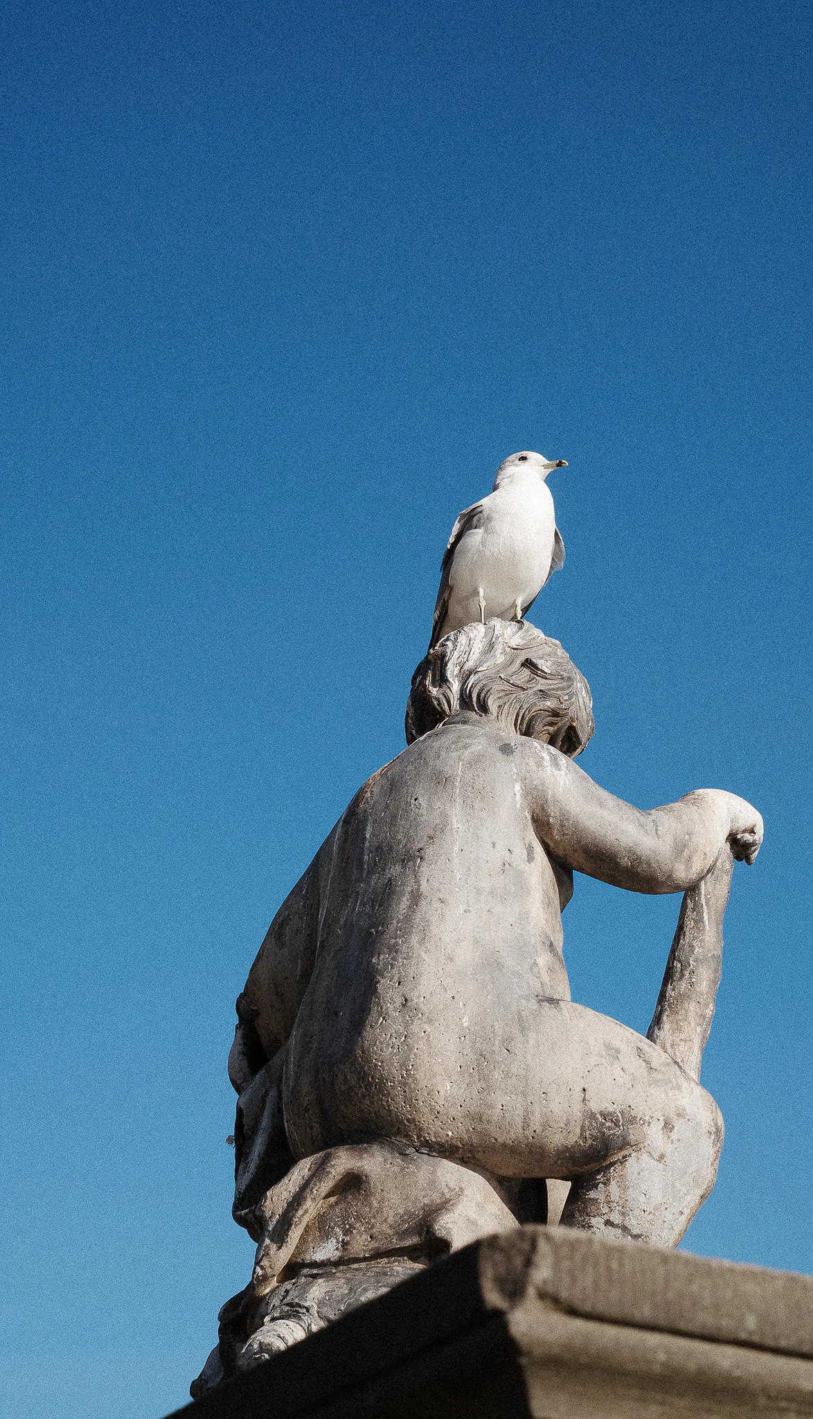 Photo from Copenhagen