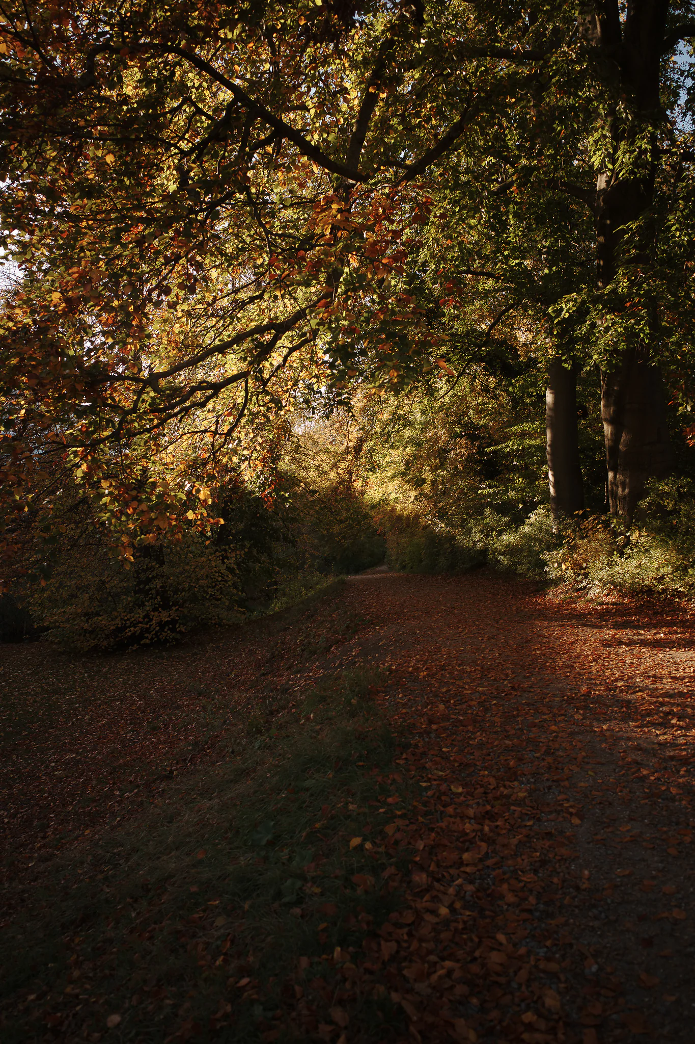 Photo from Copenhagen