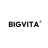 BIGVITA logo