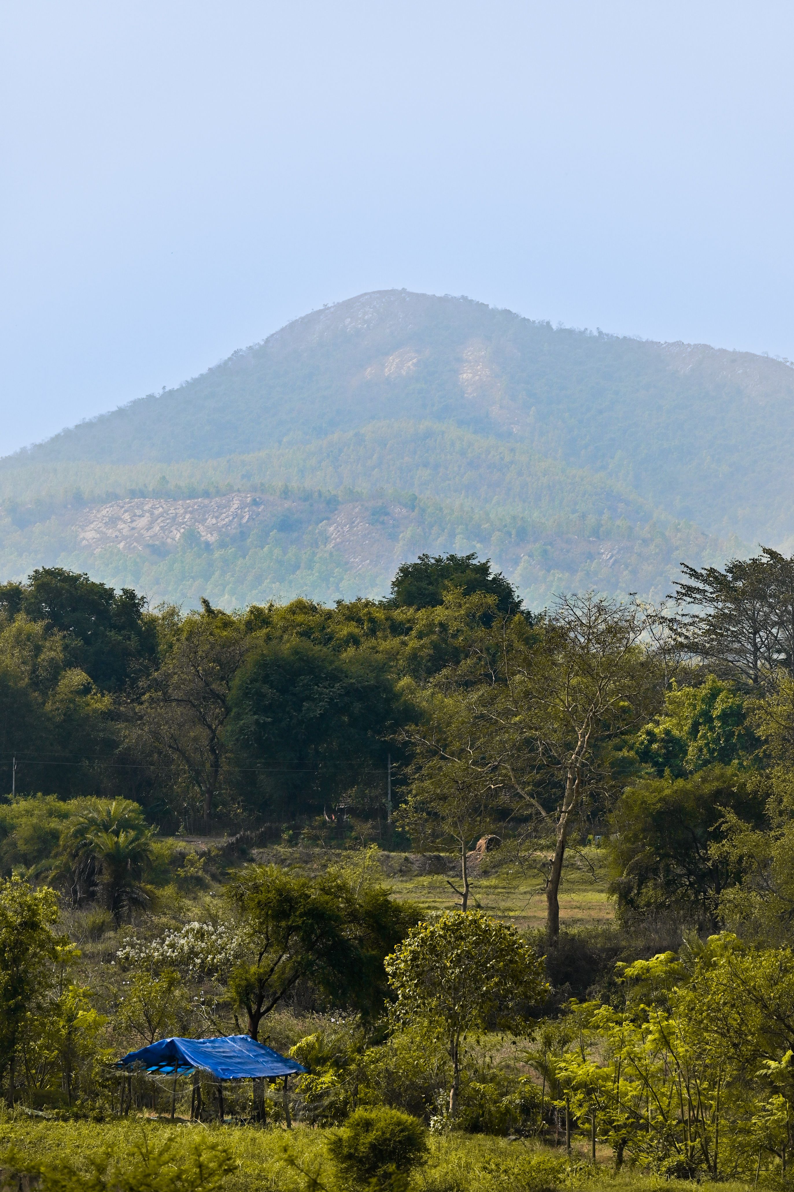 Farm Houses, Land & Plots in Morni Hills, Panchkula: A Weekend Escape Near Chandigarh